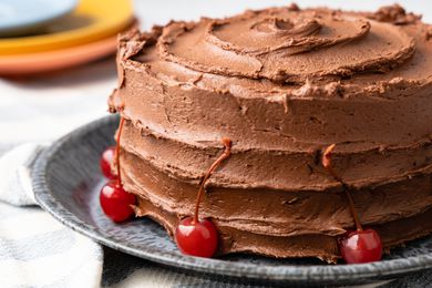 One-Bowl Double-Layer Chocolate Cake on a Plate 